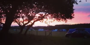 rs=w_960,h_480,cg_true